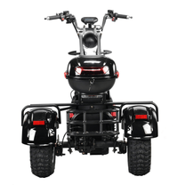 Tricycle électrique eHoodax 05WQ vu de l'arrière