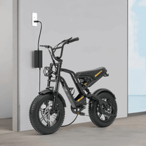 Chargeur du Hidoes B6 Mini