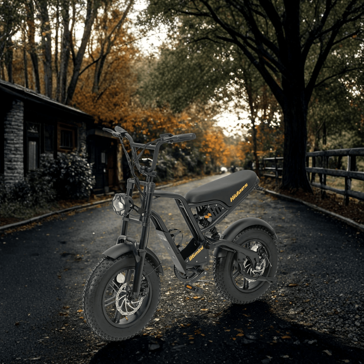 Personne roulant sur le vélo électrique fat bike Hidoes B6 Mini en ville