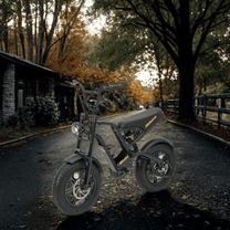 Personne roulant sur le vélo électrique fat bike Hidoes B6 Mini en ville
