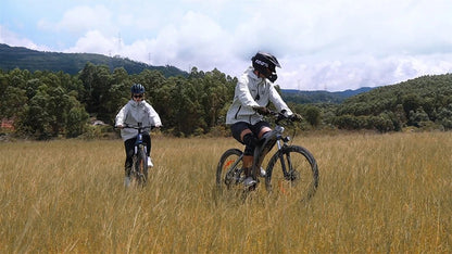 HX Q5 - Elcykel - Wheelyshop