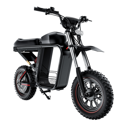 ⁠iScooter DX5 Max