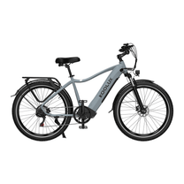 Vélo électrique KOOLUX X3 vu de profil coloris gris
