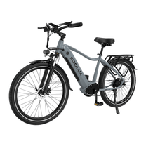 Vélo électrique KOOLUX X3 vu de trois-quarts avant coloris gris