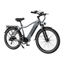 Vélo électrique KOOLUX X3 vu de profil coloris gris