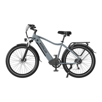 Vélo électrique KOOLUX X3 vu de profil coloris gris
