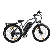 Vélo électrique fat bike LOOKROAD L28 Max vu de profil coloris gris