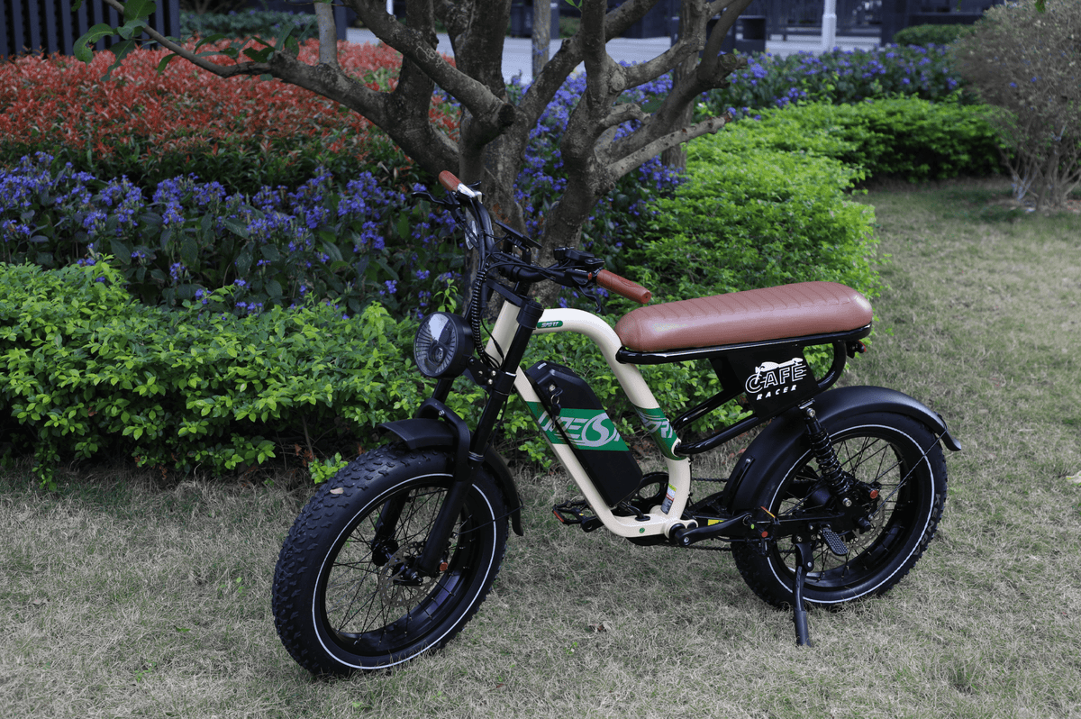 Vélo électrique fat bike OneSport W66 vu de trois-quarts avant garé sur une pelouse