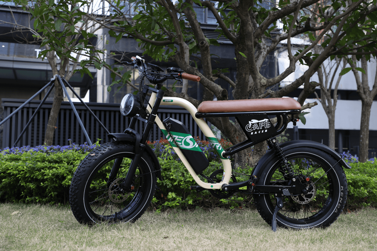 Vélo électrique fat bike OneSport W66 vu de profil garé dans un parc