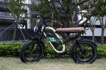 Vélo électrique fat bike OneSport W66 vu de profil garé dans un parc
