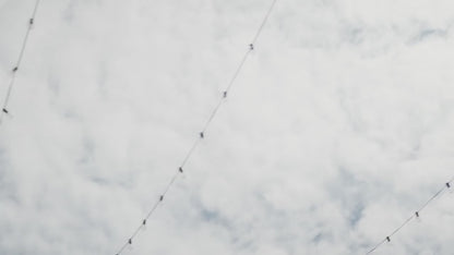 Fafrees F20 Mate trehjuling reklamvideo