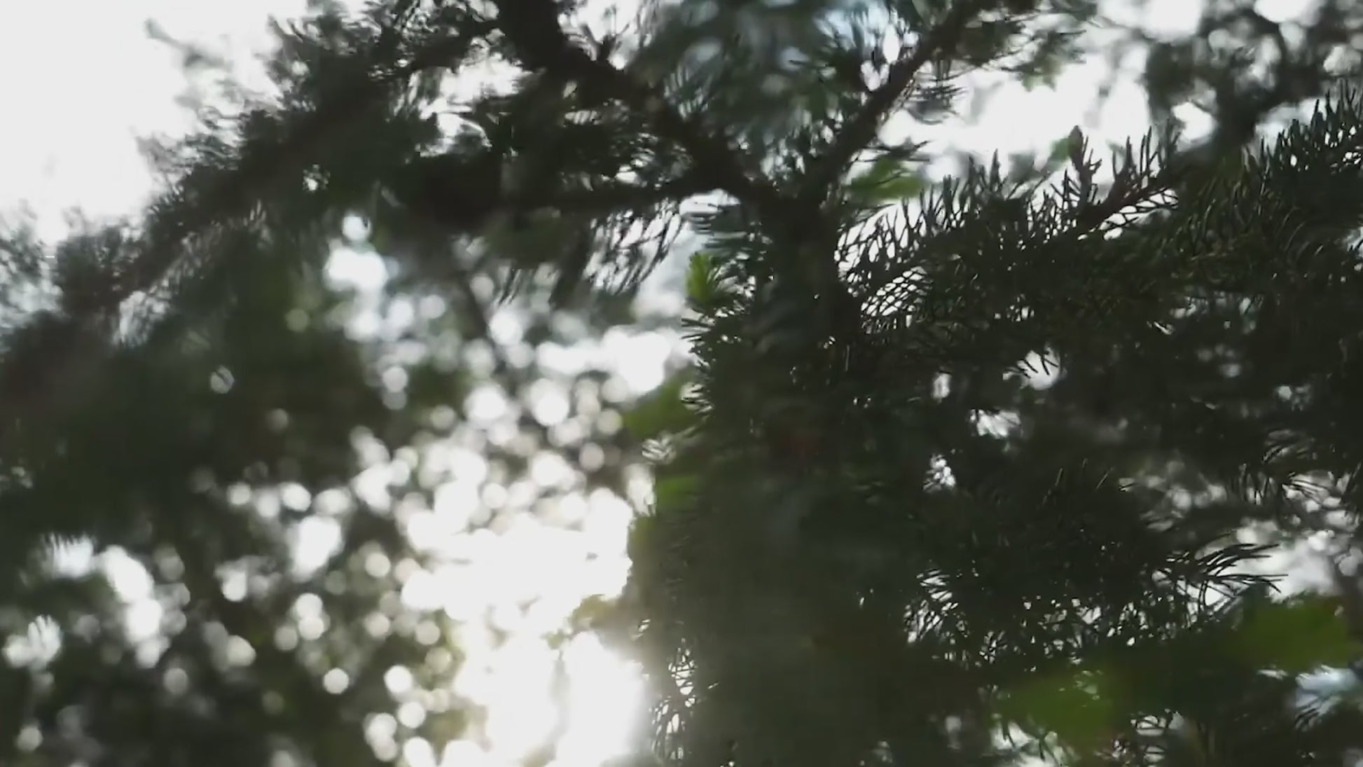 Zawes S3 5000W MINI electric dirt bike intro 2