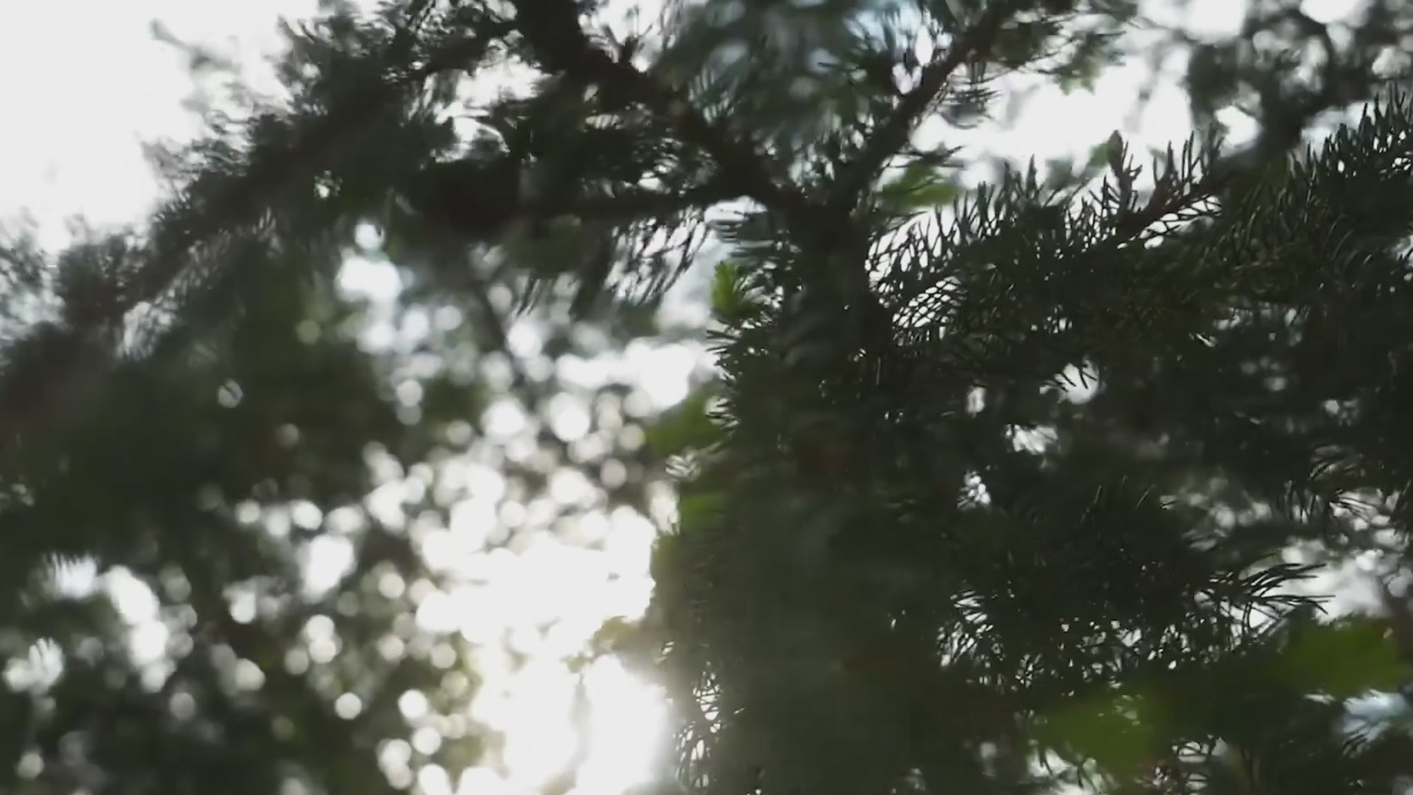 Zawes S3 5000W MINI electric dirt bike intro 2