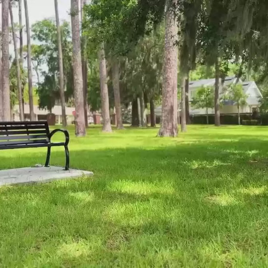 DYU CampX – vidéo