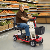 Homme âgé assis sur le scooter de mobilité SEEDREAM S-02 avec un chien