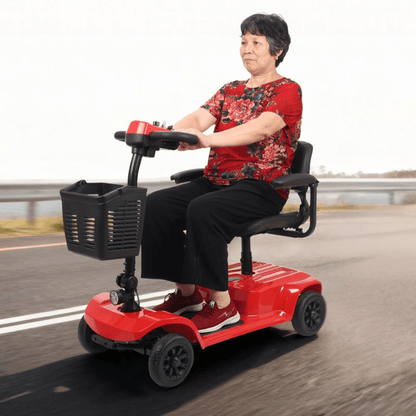 SEEDREAM X - 02B (Lucas) - Permobil - Wheelyshop