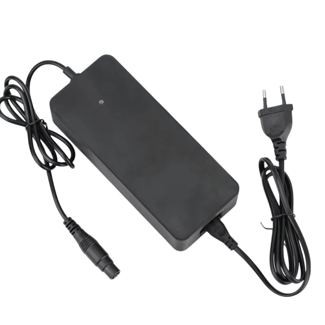 Snabbladdare Xiaomi 4 Pro Plus/Max + Ninebot ZT3 - Tillbehör - Wheelyshop