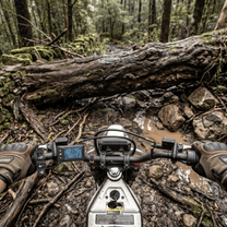 Guidon de la Vipcoo H2 avec écran et commandes en forêt