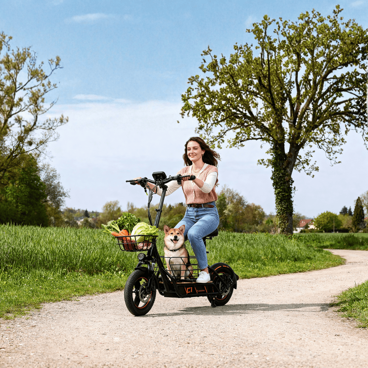 Femme roulant sur la trottinette électrique Wheely H14 dans un parc