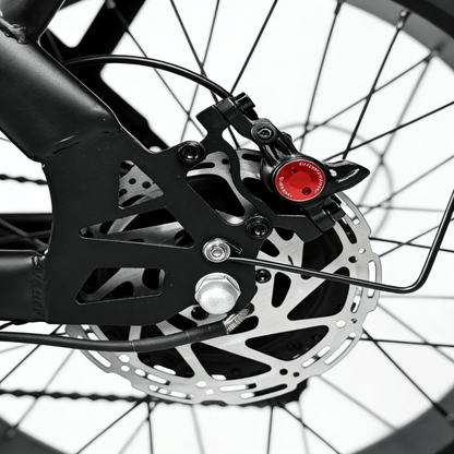 YANGOR Y20 - Elcykel - Wheelyshop