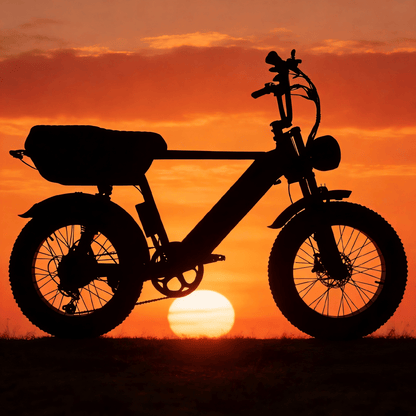 YANGOR Y20 Plus - Vélo électrique - Wheelyshop