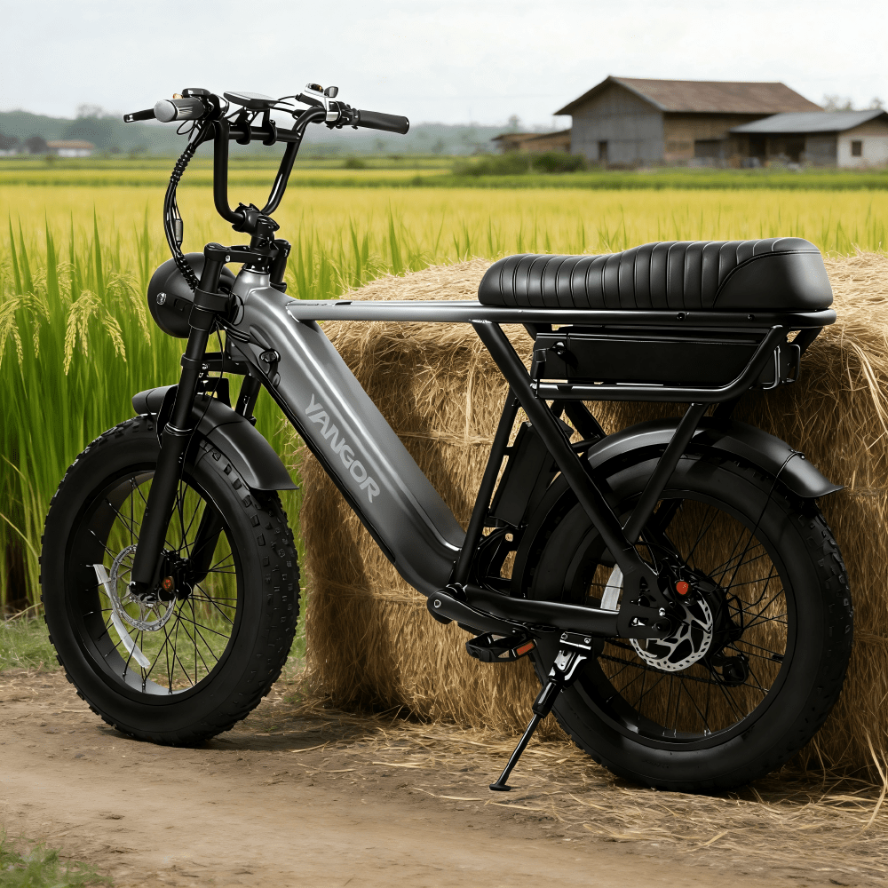 YANGOR Y20 Pro - Vélo électrique - Wheelyshop