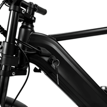 Cadre du YANGOR Y20 Pro Max